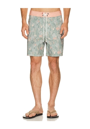 Iron & Resin Cactus Boardshort in Green. Size 30. Also in 31, 32, 33, 34, 36.