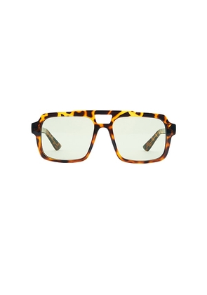 Otra Tame Square Sunglasses in Brown.