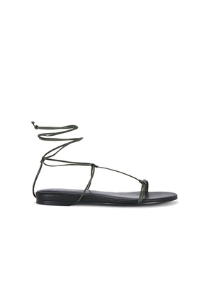 RAYE Elisa Sandal in Green. Size 5.5. Also in 6, 6.5, 7, 7.5, 8, 8.5, 9, 9.5, 10.