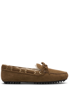 Car Shoe suede driving shoes - Brown