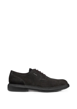 Geox suede lace-up sneakers - Brown