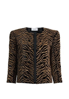 Balmain velvet jacket with tiger embroidery - Black