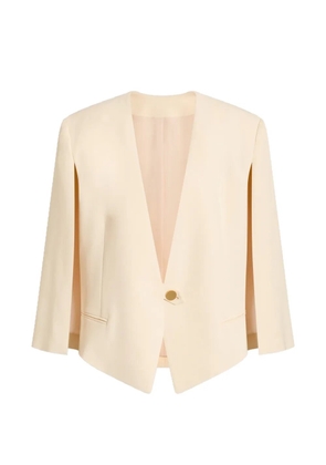 Alberta Ferretti V-neck single-breasted blazer - Neutrals