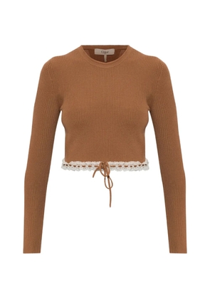 Chloé lace-trimmed ribbed-knit sweater - Brown