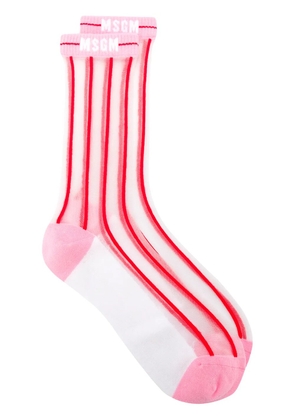 MSGM striped sheer socks - Pink