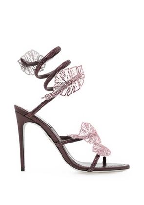 René Caovilla Leaf fondant sandals - Purple