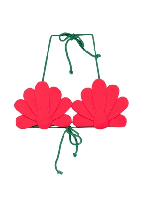 FARM Rio scalloped-edge triangle bikini top - Green