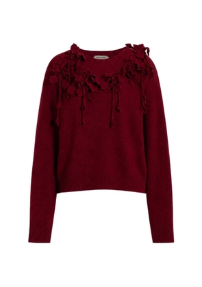 Alberta Ferretti floral-appliqué wool sweater - Red