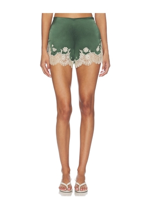 Alice + Olivia Elissa Cutaway Lace Short in Dark Green. Size 0. Also in 2, 4, 8, 10.