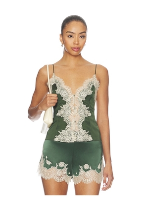 Alice + Olivia Julietta Cutaway Lace Slip Top in Green. Size 2. Also in 4, 6, 8.