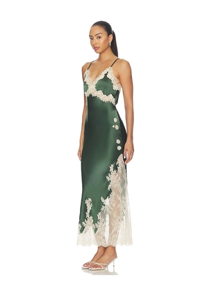 Alice + Olivia Julietta Cutaway Lace Trim Slip Dress in Green. Size 0. Also in 4, 6, 10.