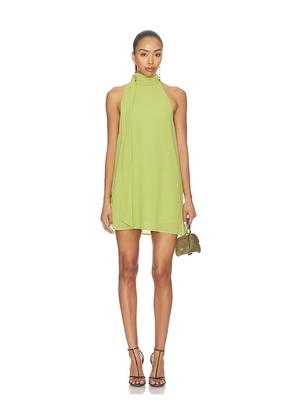 MORE TO COME Mabel Halter Mini Dress in Green. Size XXS. Also in XS, S, M, L, XL.
