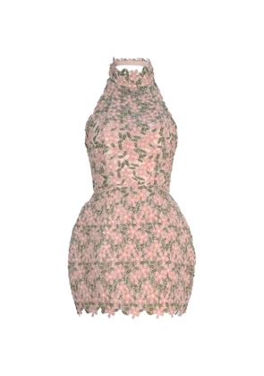 Atoir floral-lace halterneck dress - Pink