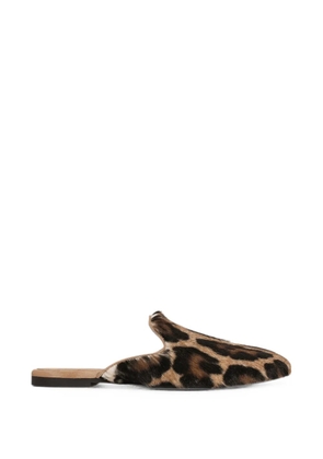 Dolce & Gabbana leo kid-leather mules - Brown