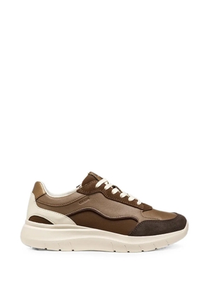 Geox panelled leather sneakers - Brown