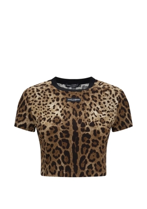 Dolce & Gabbana leopard-print T-shirt - Brown