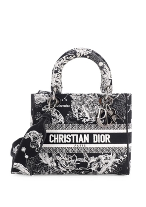 Christian Dior Pre-Owned Lady D-Lite Bag Embroidered Canvas Medium satchel - Black