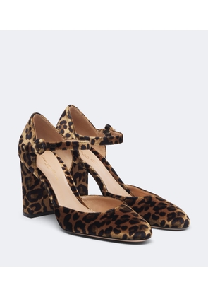Gianvito Rossi Leopard-print velvet pumps