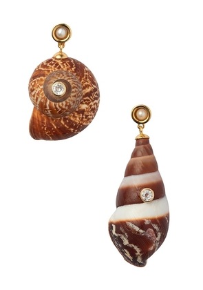 Eliou Caracol Earrings in Brown.