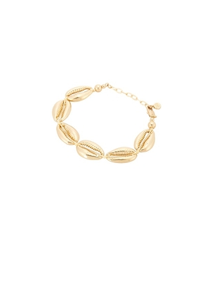 Ettika Seven Seas Shell 18k Gold Pated Shell Bracelet in Metallic Gold.