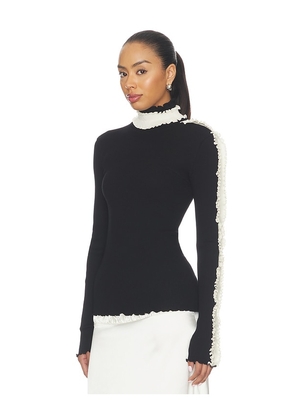 OperaSPORT Amelie Seamless Top in Black. Size XS. Also in M, L, XL.