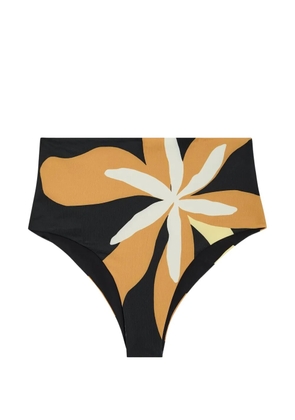 Cala de la Cruz Elisa floral-print bikini bottoms - Black
