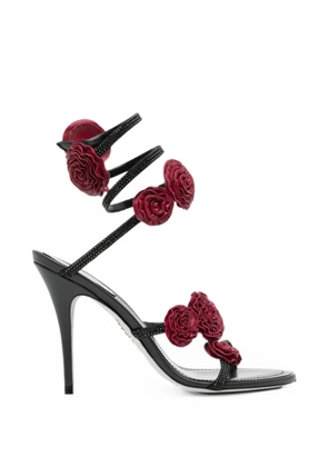 René Caovilla Rosalia floral-embellished sandals - Black