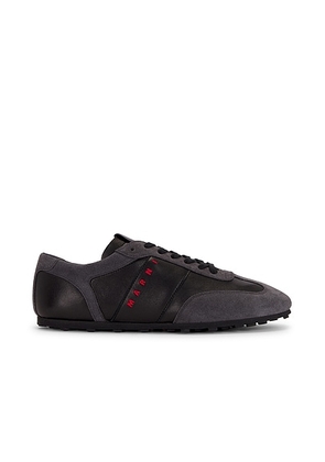 Marni Sneakers in Black & Dark Grey - Black. Size 43 (also in 41, 42, 44, 45).
