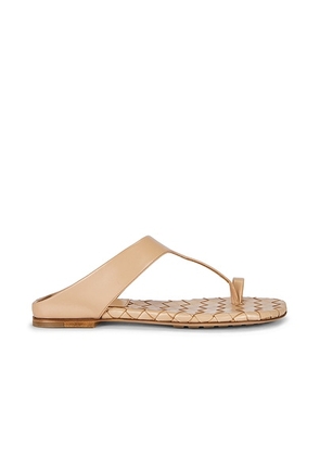 Bottega Veneta Livia Flat Thong Sandal in Shore - Beige. Size 39.5 (also in 36, 38.5, 39, 40, 41).