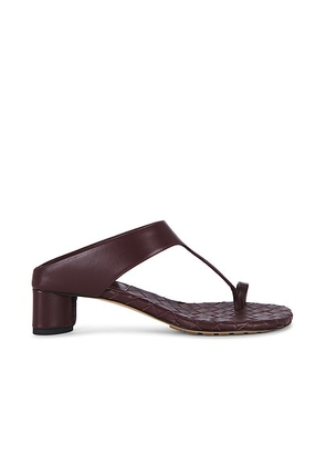 Bottega Veneta Livia Kitten Heel Thong Sandal in Deep Mahogany - Burgundy. Size 39 (also in 36, 36.5, 38).