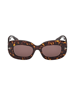 TOM FORD Islay Sunglasses in Brown & Brown - Brown. Size all.