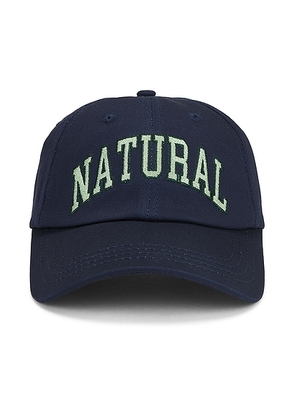 Museum of Peace and Quiet Natural Dad Hat in Navy - Blue. Size all.