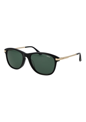 BMW Black Acetate Sunglasses