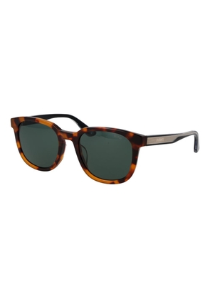 BMW Brown Acetate Sunglasses