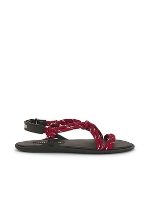 Miu Miu Strappy Sandal in Amaranto - Burgundy. Size 36 (also in 41).
