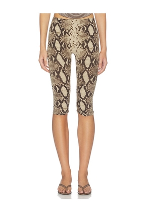 Indah Printed High Waisted Capri Pant in Cream. Size XS. Also in M, L.