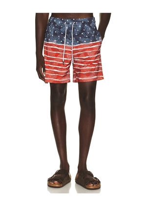 Trunks Surf & Swim Co. Sano 6.5 Swim Short in Multi. Size S. Also in M, L, XL/1X.