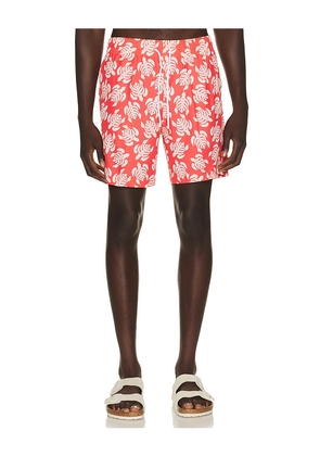 Trunks Surf & Swim Co. Sano 6.5 Swim Short in Multi. Size S. Also in M, L, XL/1X.