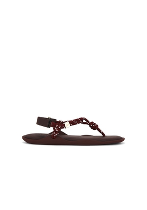 FlÃ²wze FlÃ² Monocolor Sandal in Burgundy. Size 36. Also in 37, 38, 39, 40, 41.