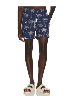 Trunks Surf & Swim Co. Sano 6.5 Swim Short in Multi. Size S. Also in M, L, XL/1X.
