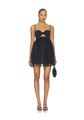 NIIHAI Bralette Mini Dress in Black. Size XS. Also in S, M, L, XL.