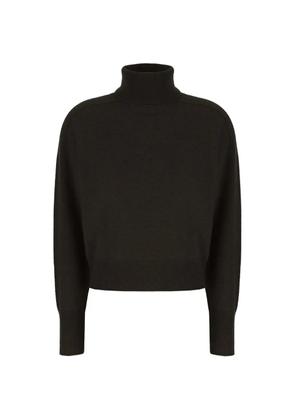 Vanisè roll-neck cashmere sweater - Brown
