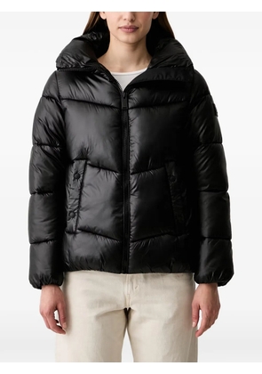 DKNY quilted puffer jacket - Black