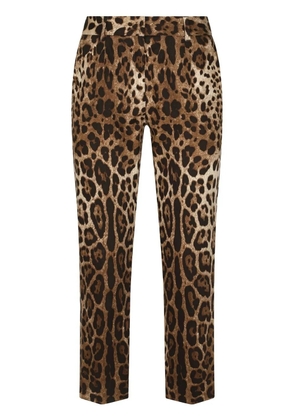 Dolce & Gabbana leopard-print tailored trousers - Brown