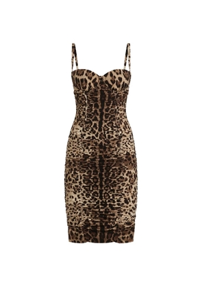 Dolce & Gabbana leo-print charmeuse dress - Neutrals