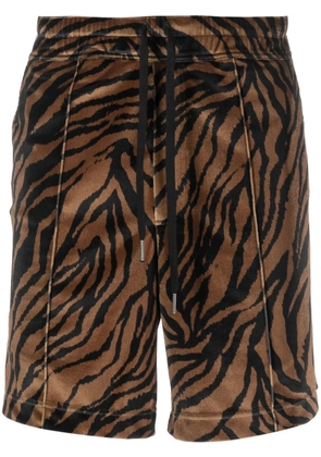 TOM FORD zebra-print cotton shorts - Brown