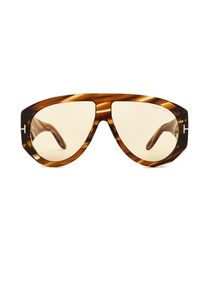 TOM FORD Bronson Acetate Sunglasses in Havana - Brown. Size all.