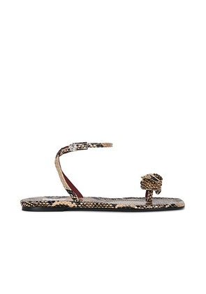 Magda Butrym Rose Sandal in Snake - Brown. Size 39 (also in 38, 40).