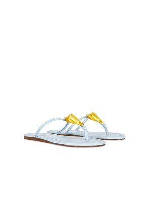 FARM Rio Shell Flat Sandal in Metallic Gold. Size 10. Also in 6, 6.5, 7, 7.5, 8, 8.5, 9.