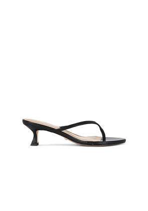 RAYE Gemma Sandal in Black. Size 10. Also in 5, 5.5, 6.5, 7, 7.5, 8, 8.5, 9, 9.5.